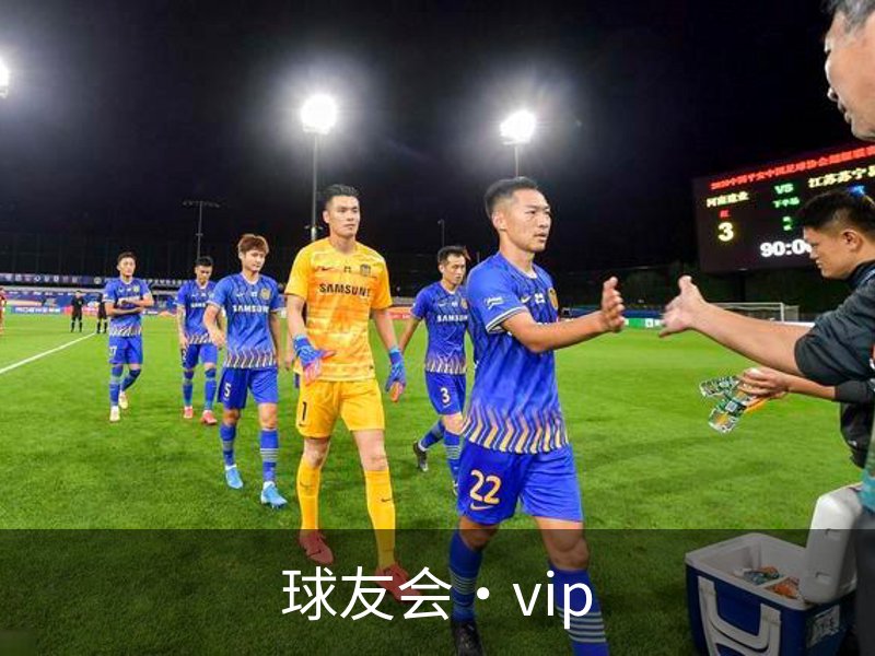 球友会·vip简介